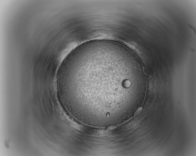 X0000102241375200808011238