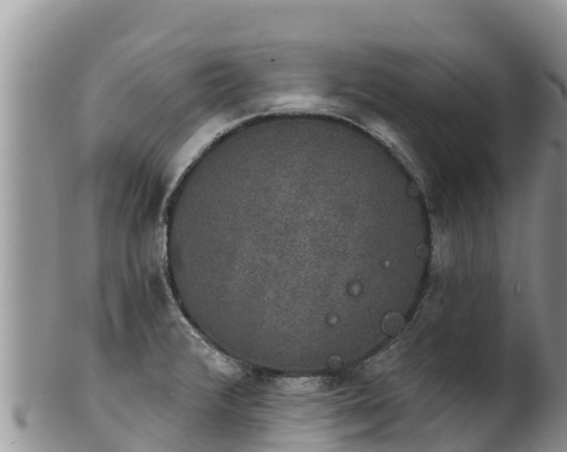 X0000102241376200808011238