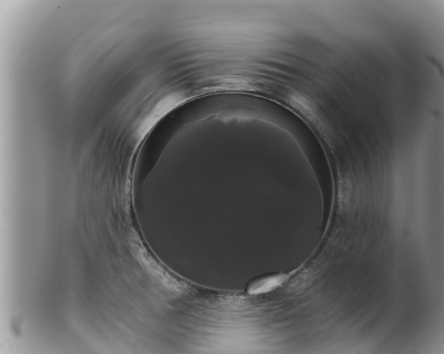 X0000102241378200808011238