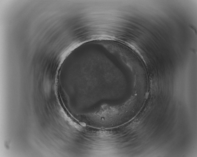 X0000102241379200808011238