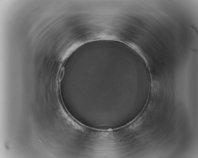 X0000102241381200808011238