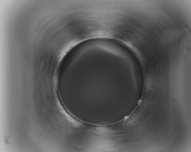 X0000102241383200808011238