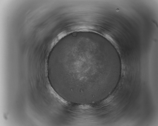 X0000102241384200808011238