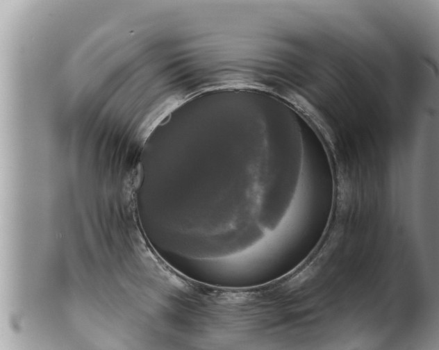 X0000102241385200808011238