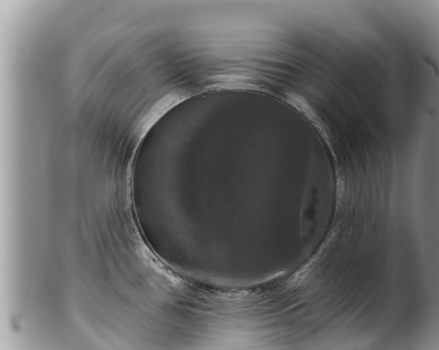 X0000102241386200808011238