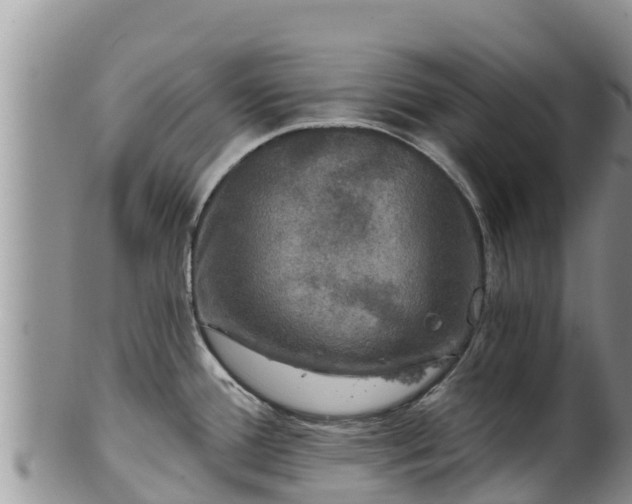 X0000102241388200808011238