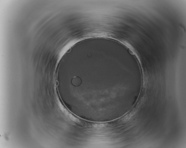 X0000102241389200808011238