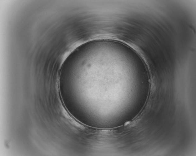 X0000102241390200808011238