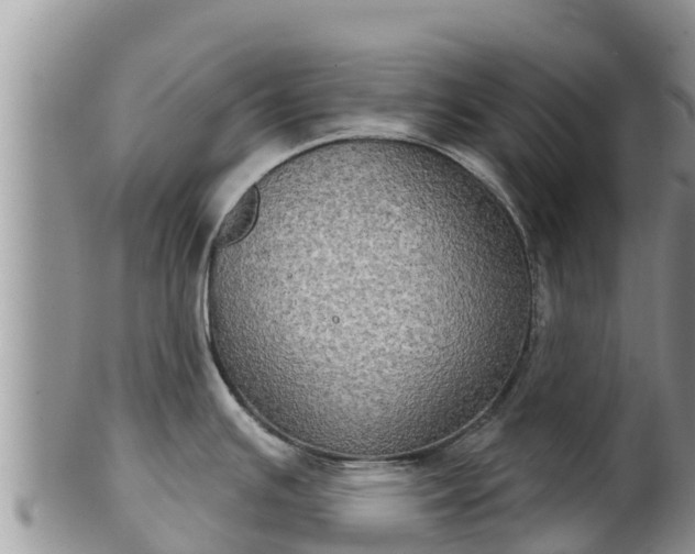 X0000102241391200808011238