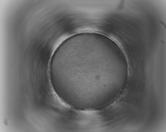 X0000102241392200808011238