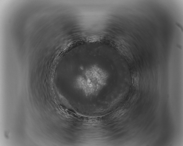 X0000102241393200808011237