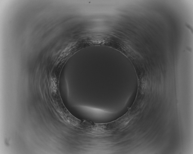 X0000102241394200808011237