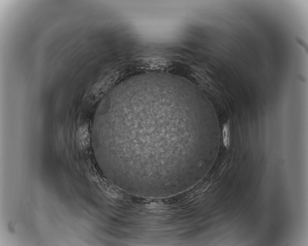 X0000102241395200808011237