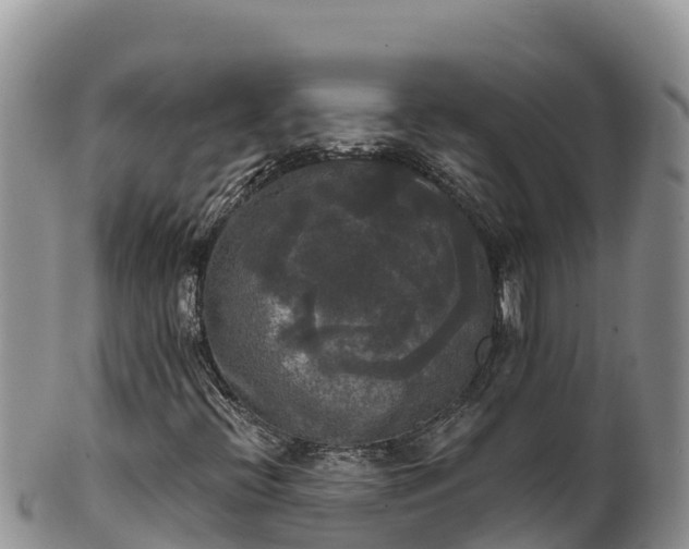 X0000102241396200808011237