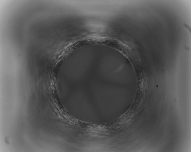 X0000102241397200808011237