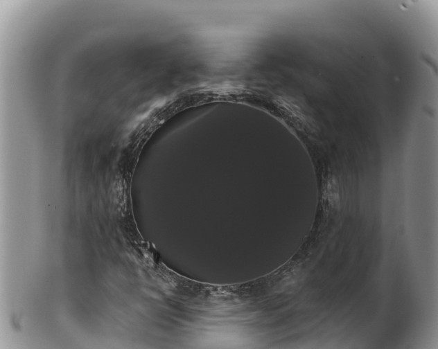 X0000102241398200808011237