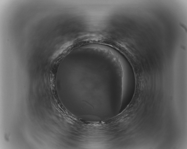 X0000102241399200808011237