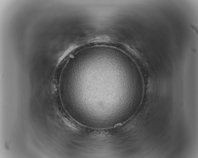 X0000102241400200808011237