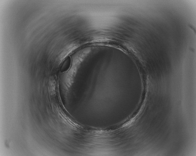 X0000102241401200808011237