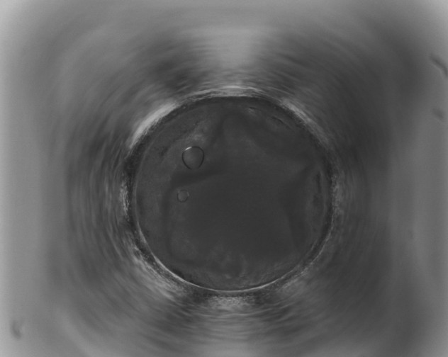 X0000102241402200808011237