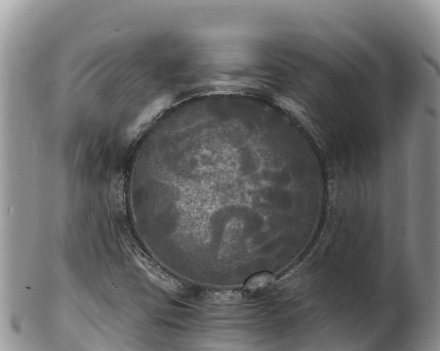 X0000102241403200808011237