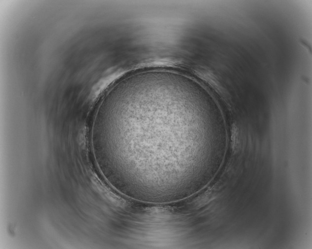 X0000102241404200808011237