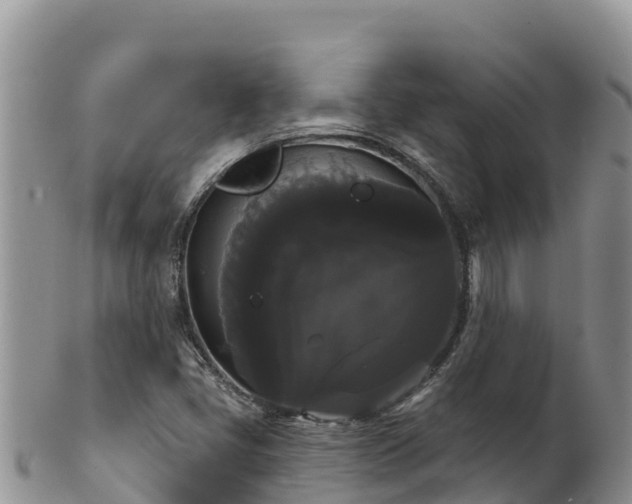 X0000102241405200808011237