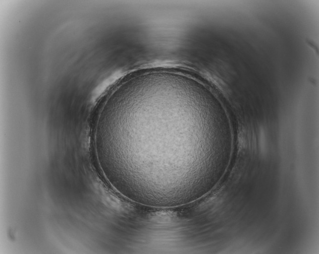 X0000102241406200808011237