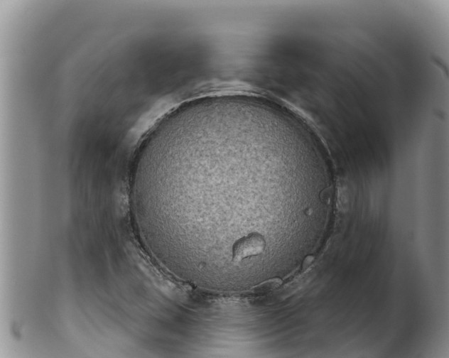 X0000102241407200808011237