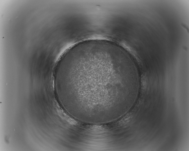 X0000102241408200808011237