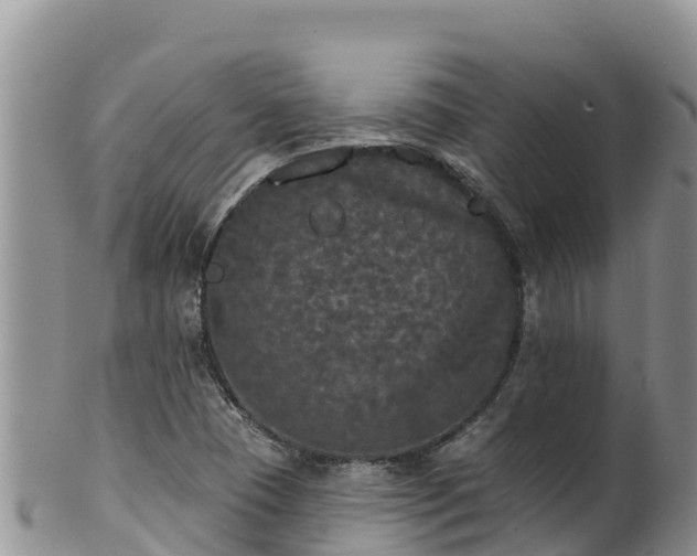 X0000102241409200808011237