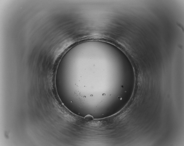 X0000102241410200808011237