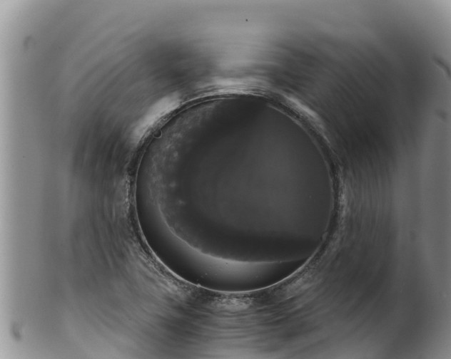 X0000102241411200808011237