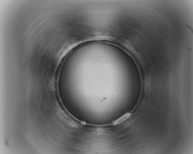 X0000102241412200808011237