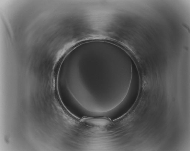 X0000102241414200808011237