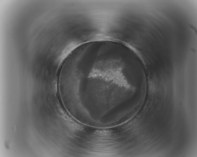 X0000102241415200808011237