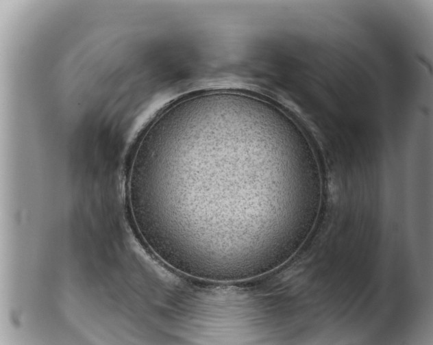 X0000102241416200808011237