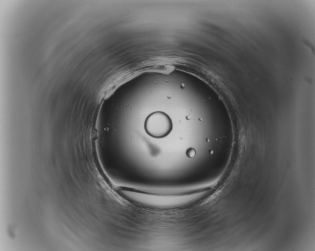 X0000102241417200808011237