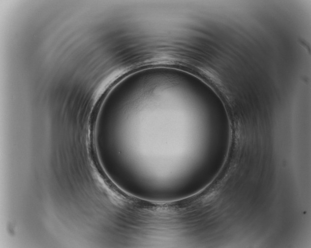 X0000102241418200808011237