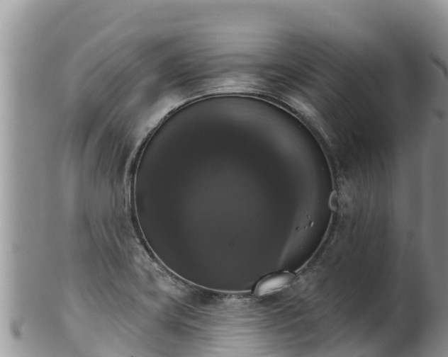 X0000102241419200808011237