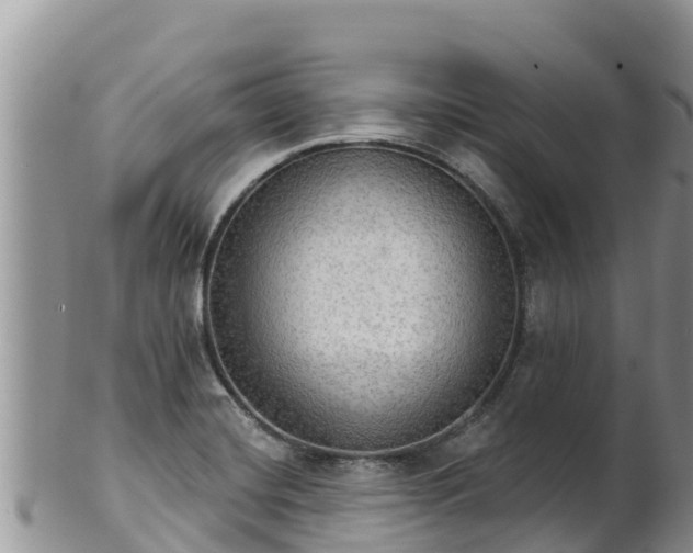 X0000102241420200808011237