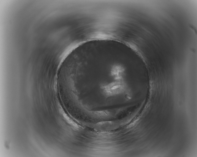 X0000102241421200808011237