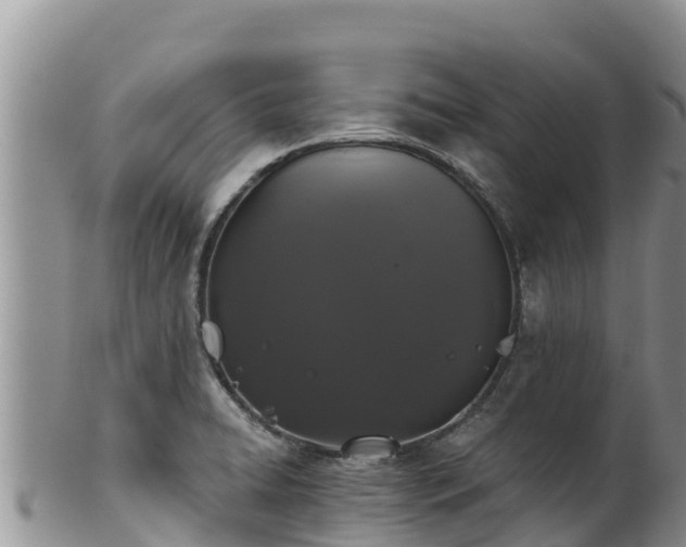 X0000102241422200808011237