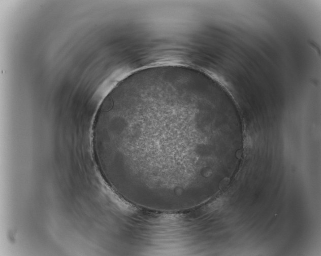 X0000102241423200808011237