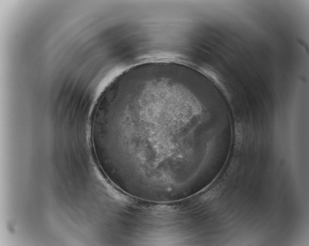 X0000102241424200808011237