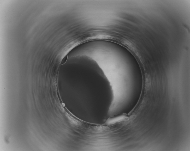 X0000102241425200808011237