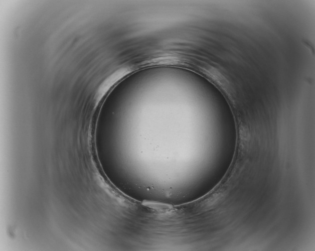 X0000102241426200808011237