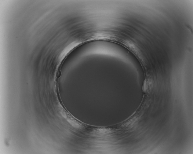 X0000102241427200808011237