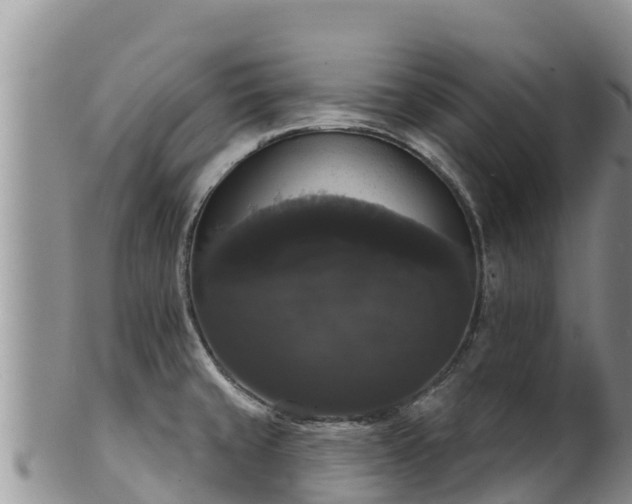 X0000102241429200808011237