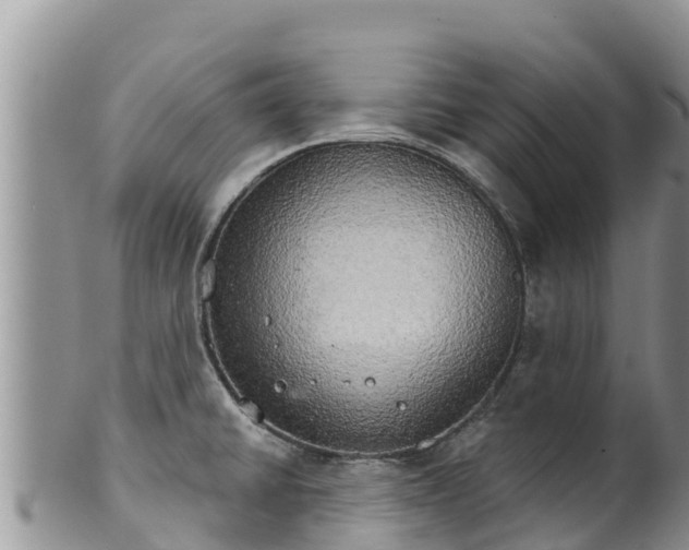 X0000102241430200808011237